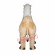 Two Man Camel Mascot Costume Two Man Camel Mascot Costume