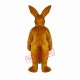 Kangaroo Mascot Costumes Kangaroo Mascot Costumes