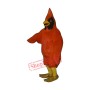 Cardinal Bird Mascot Costume