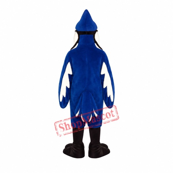 Jennie Blue Jay Mascot Costume Jennie Blue Jay Mascot Costume