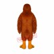 Golden Hawk Mascot Costume