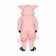 Hog Pig Mascot Costume Hog Pig Mascot Costume