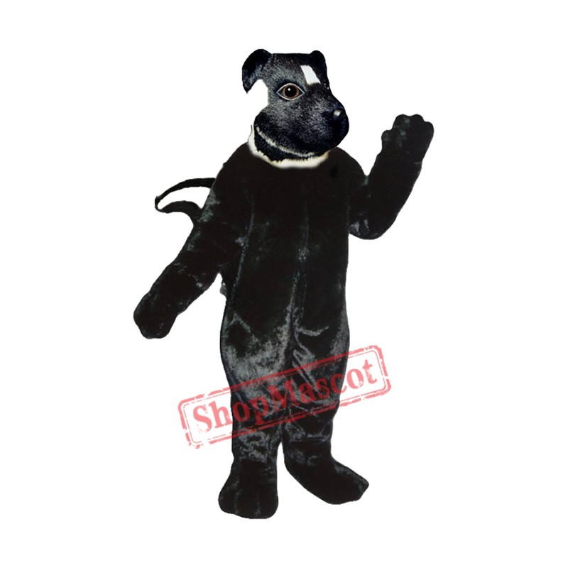 Eastern Skunk Mascot Costume