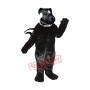 Eastern Skunk Mascot Costume