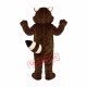 Foxy Raccoon Mascot Costume