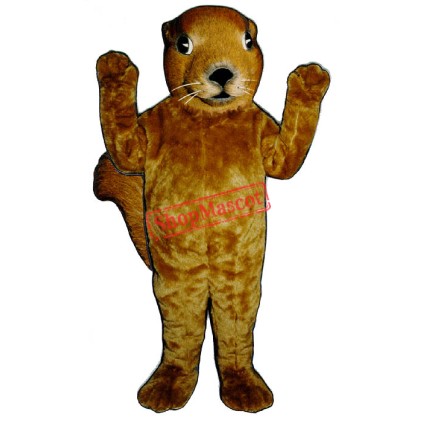 Realistic Squirrel Mascot Costume