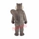 Grey Squirrel Mascot Costume