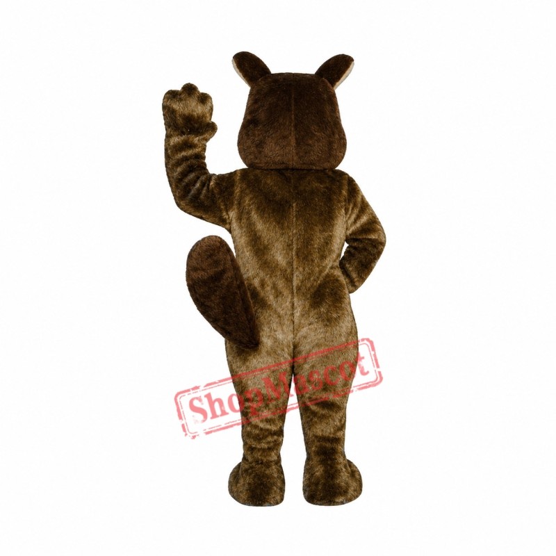 Cute Squirrel Mascot Costume