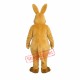 Ant-Eater Mascot Costume Ant-Eater Mascot Costume