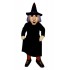 Black Witch Mascot Costume