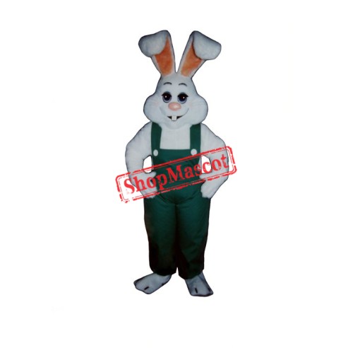 Bunny Boy Mascot Costume