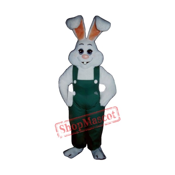 Bunny Boy Mascot Costume
