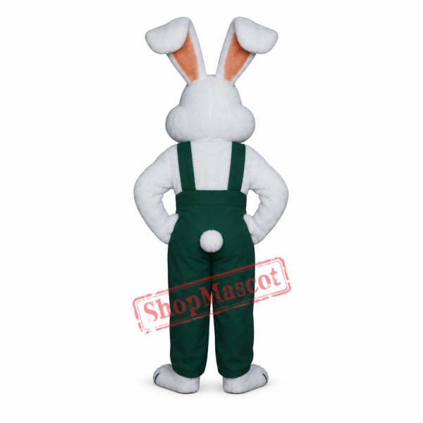 Bunny Boy Mascot Costume