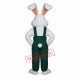 Bunny Boy Mascot Costume Bunny Boy Mascot Costume