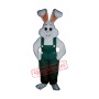 Bunny Boy Mascot Costume