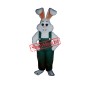 Bunny Boy Mascot Costume