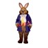 Mr. Brown Bunny Mascot Costume