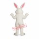 Hunny Bunny Mascot Costume Hunny Bunny Mascot Costume
