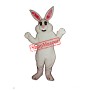 Hunny Bunny Mascot Costume