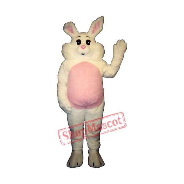 Willy Rabbit Mascot Costume