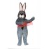 Toothless Rabbit Mascot Costume