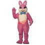 Raleigh Rabbit Mascot Costume