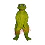 B.L. Frog Mascot Costume