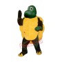 Slow Turtle Mascot Costume