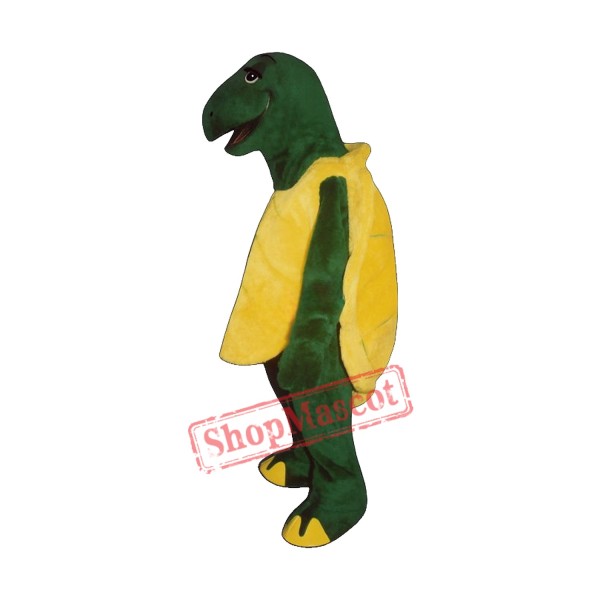 Tortoise Mascot Costume