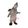 Shark Mascot Costume