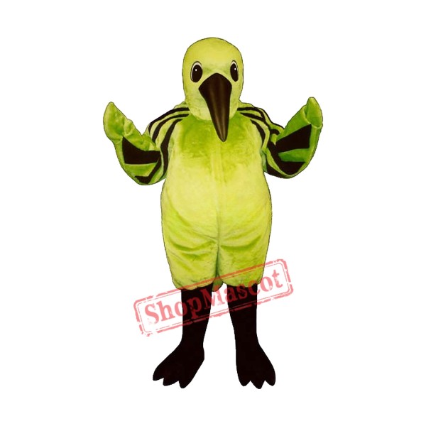 Humming Bird Mascot Costume