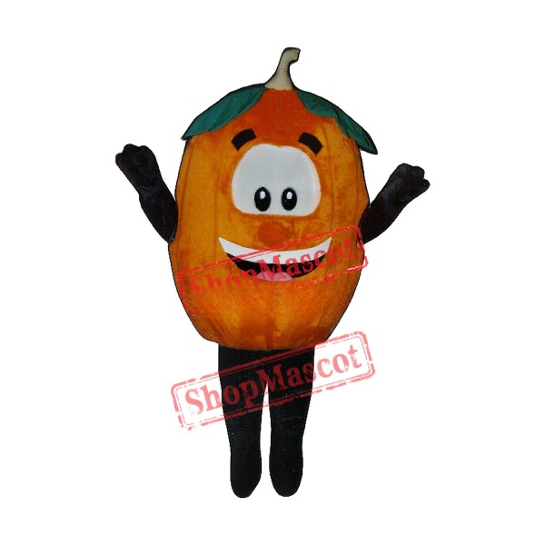 Pumpkin Mascot Costume Pumpkin Mascot Costume