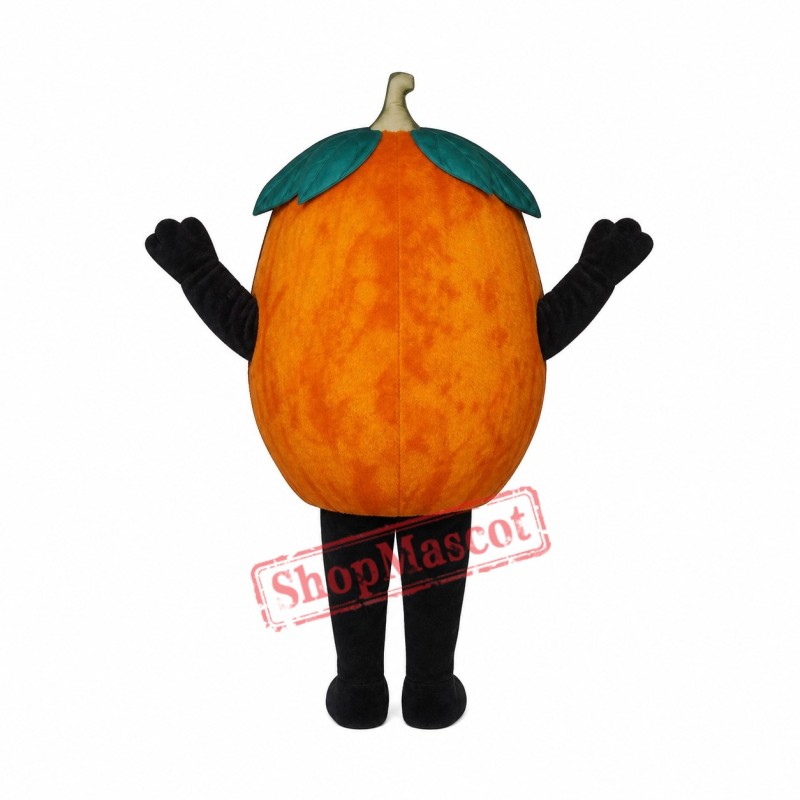 Pumpkin Mascot Costume Pumpkin Mascot Costume