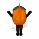 Pumpkin Mascot Costume Pumpkin Mascot Costume