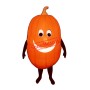 Rotten Pumpkin Mascot Costume