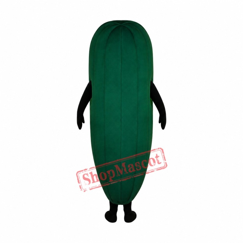 Cucumber Mascot Costume