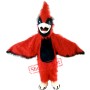 New Big Red Cardinal Mascot Costume