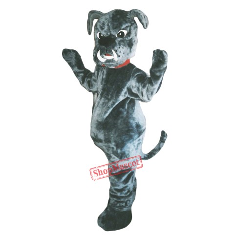 Bull Dog Mascot Costume Adult Costume