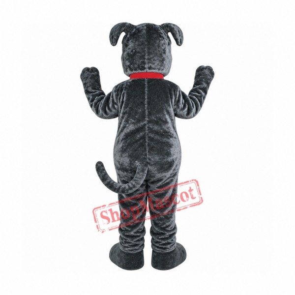 Bull Dog Mascot Costume Adult Costume Bull Dog Mascot Costume Adult Costume