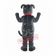 Bull Dog Mascot Costume Adult Costume Bull Dog Mascot Costume Adult Costume