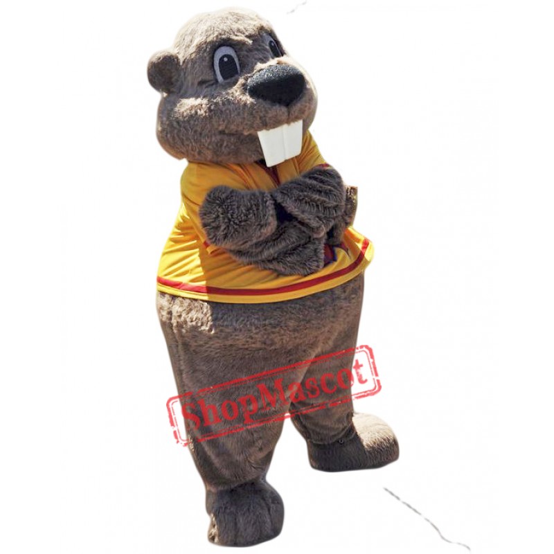 Professional Beaver Mascot Costumes