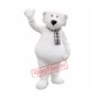 Cute Bear Mascot Costumes