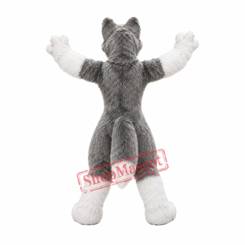 Cute White Grey Wolf Mascot Costume Cute White Grey Wolf Mascot Costume