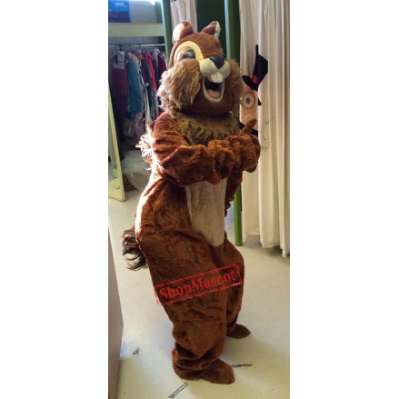 Animal Squirrel Mascot Costume