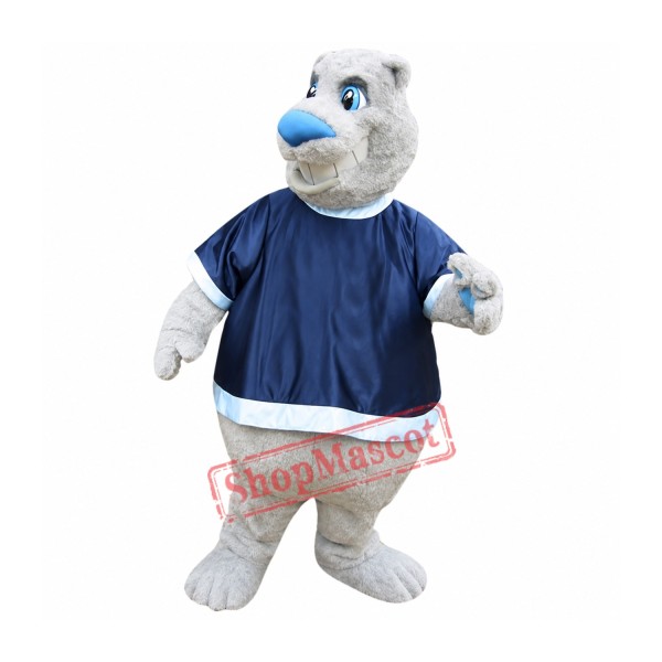 Friendly Bear Mascot Costume