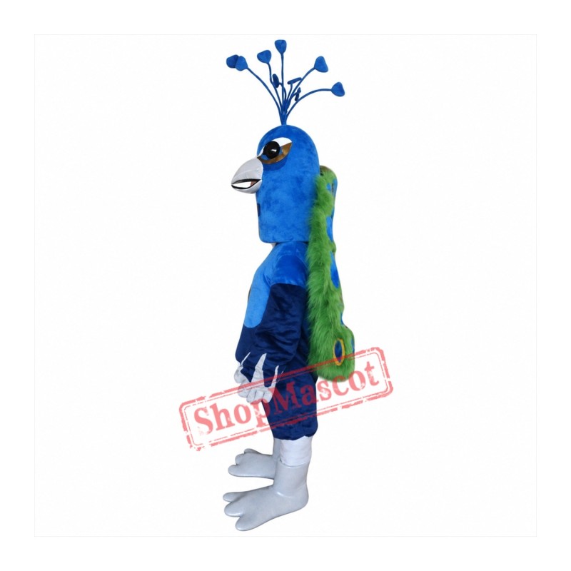 Peacock Mascot Costume Peacock Mascot Costume