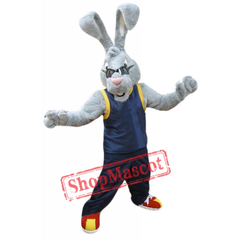 Power Rabbit Mascot Costume