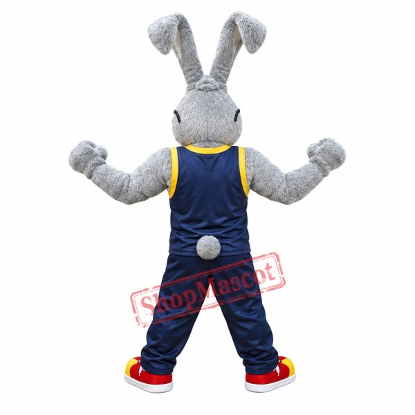 Power Rabbit Mascot Costume Power Rabbit Mascot Costume