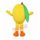 Adult Mango Mascot Costume Adult Mango Mascot Costume