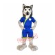 Football Husky Dog Mascot Costume Football Husky Dog Mascot Costume